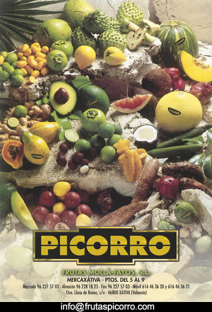 Frutas Picorro Merca-Xativa Valencia 2008  (Papel - Calendarios)